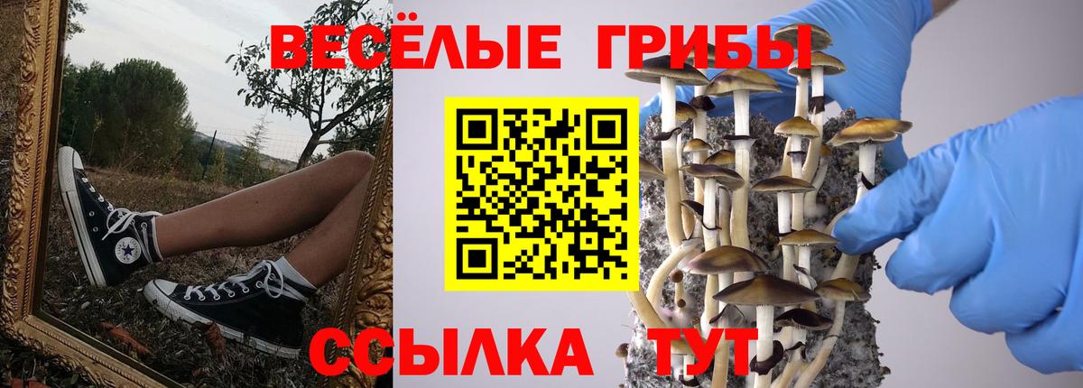 Шахты  Псилоцибиновые грибы мухоморы  Вход с VPN  Галлюциногенные грибы Cubensis 