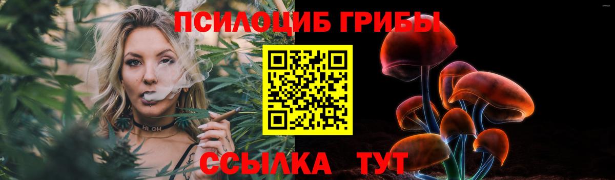 Псилоцибиновые грибы Cubensis Шахты